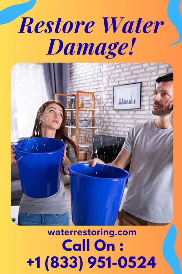 water restoration Pro Flood Damage Solutions Watertown