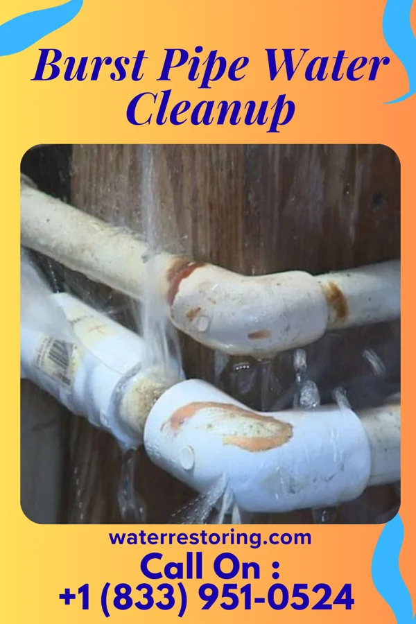 Burst Pipe Water Cleanup in Watertown, TN