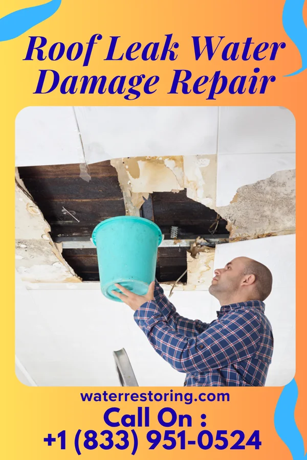 Roof Leak Water Damage Repair in Watertown, TN