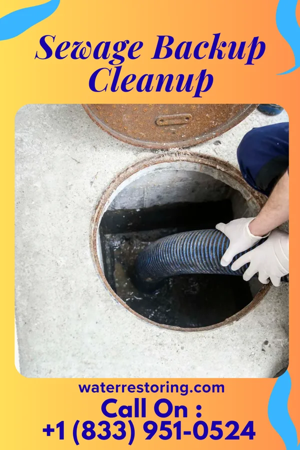 Sewage Backup Cleanup in Watertown, TN